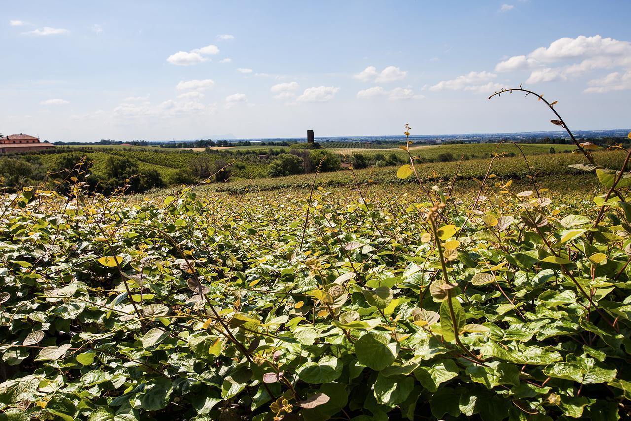 I Casali Della Parata Velletri Buitenkant foto